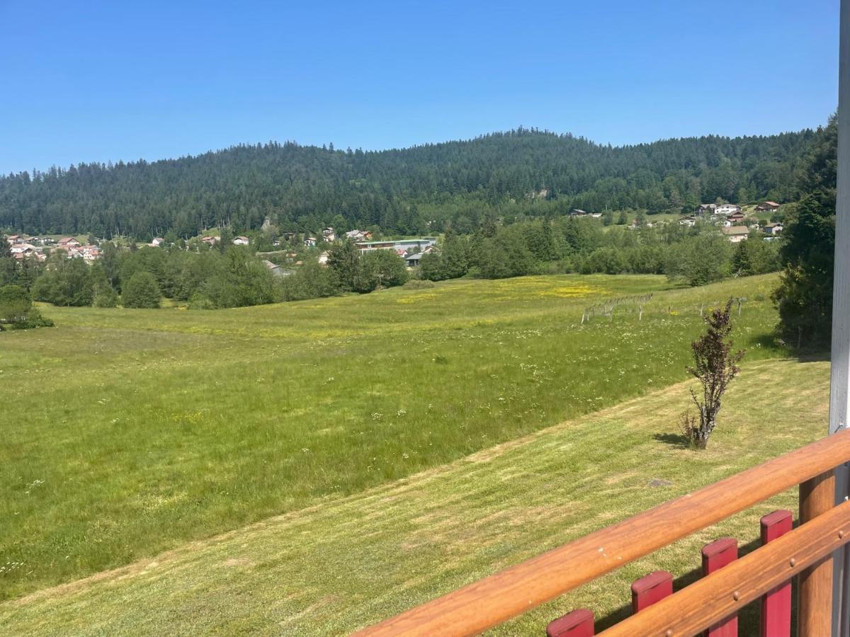 Chalet Le Cedre Bleu 10 P - 10 Min De Gerardmer Le Tholy Exterior foto