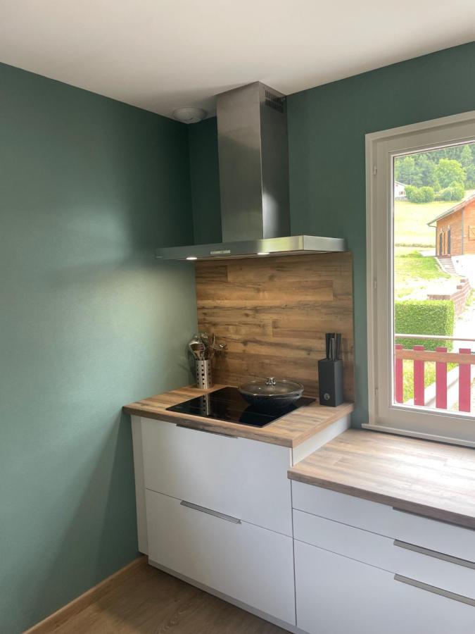 Chalet Le Cedre Bleu 10 P - 10 Min De Gerardmer Le Tholy Exterior foto